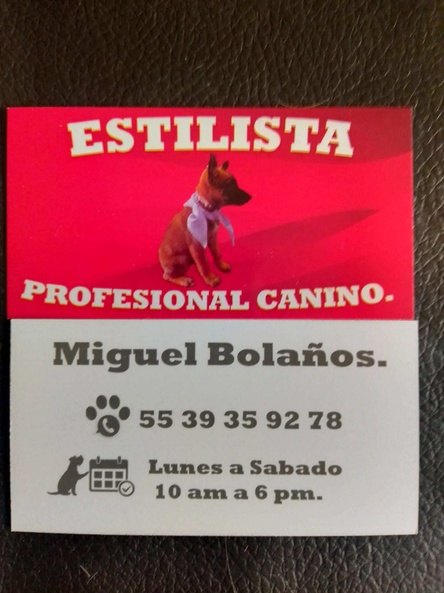 miguelbolanos0