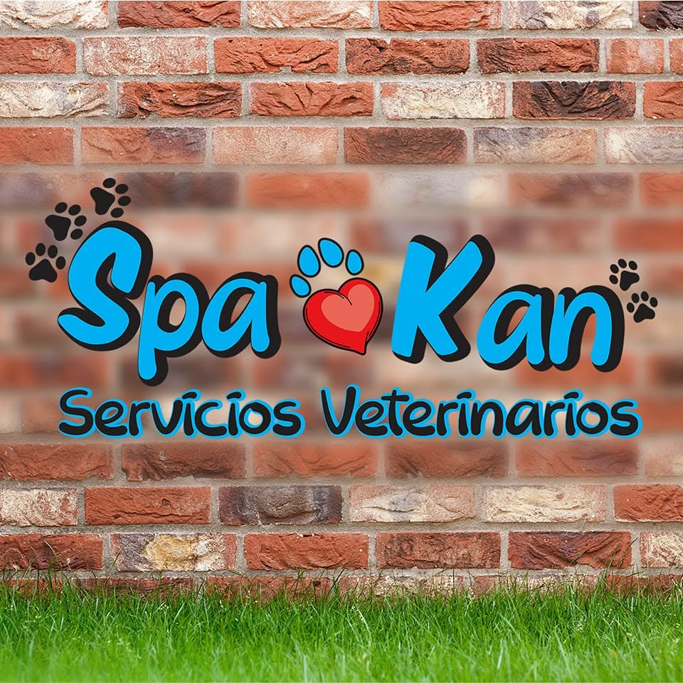spakan_fotoperfil