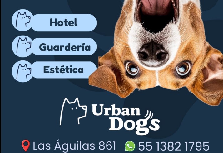 urbandogs_fotoperfil2