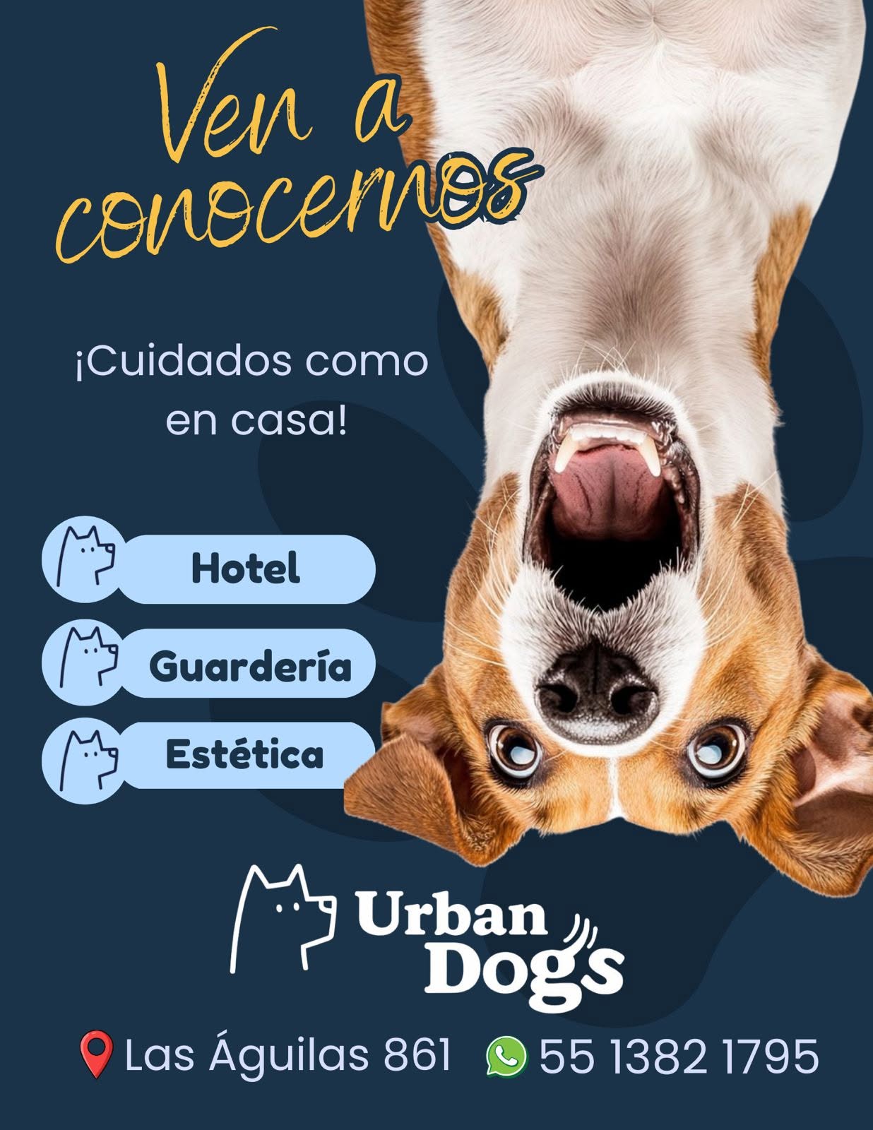 urbandogs_fotoportada